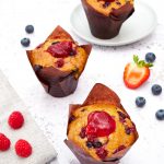 Fruits of the Forest