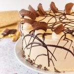 Chocolate Peanut Butter Cake